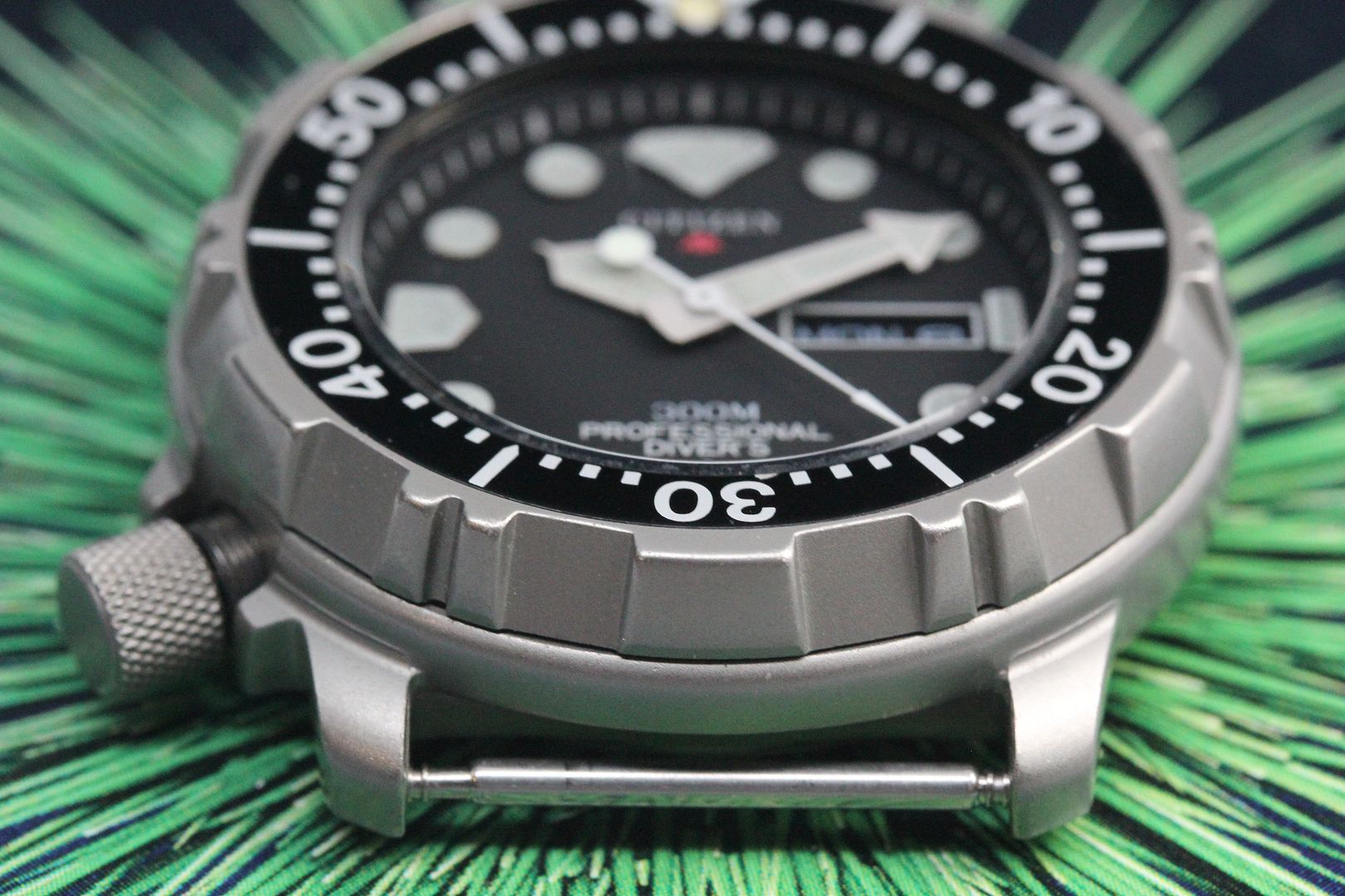 citizen professional diver